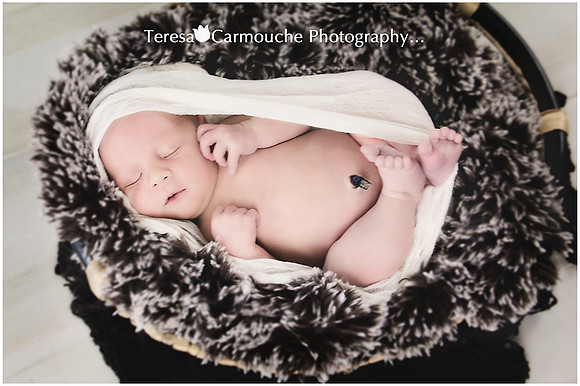 IMG_2258_edited-1 copy