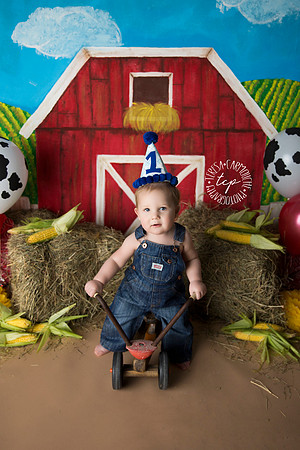 1-20-18_, Baton Rouge Baby Photographer_brody cake smash 2639,teresa carmouche photography,cake smash, photoshoot, one year photoshoot, baton rouge baby photographer, new orleans baby photographer, ad