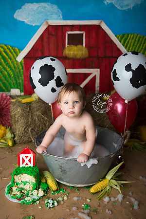 1-20-18_,Baton Rouge Baby Photographer_brody cake smash 2663,teresa carmouche photography,cake smash, photoshoot, one year photoshoot, baton rouge baby photographer, new orleans baby photographer, ado