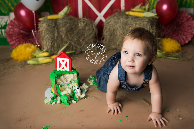 1-20-18_, Baton Rouge Baby Photographer_brody cake smash 2649,teresa carmouche photography,cake smash, photoshoot, one year photoshoot, baton rouge baby photographer, new orleans baby photographer, ad