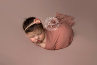 12-6-17_47A7898 teresa carmouche photogrpahy,newborn photography, swaddled newborn, newborn smiles,baton rouge newborn photographer, neworleans photographer, neutral, flower
