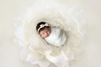 12-6-17_47A78867 teresa carmouche photogrpahy,newborn photography, swaddled newborn, newborn smiles,baton rouge newborn photographer, neworleans photographer, neutral, flower
