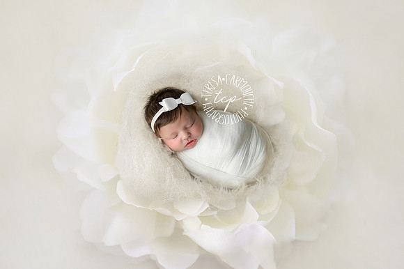 12-6-17_47A78867 teresa carmouche photogrpahy,newborn photography, swaddled newborn, newborn smiles,baton rouge newborn photographer, neworleans photographer, neutral, flower