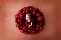20190105_7343-best newborn photographer-Baton rouge newborn photographer-newborn-new orleans newborn photographer, newborn safety, newborn posing-Baton rouge Maternity Photographer-Baton Rouge Newborn