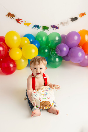 20190208_2248,Teresa Carmouche Photography, baby photography, baby photographer,one year old,cake smash, baton rouge photographer, new orleans photographer, best baby photographer, newborn, newborn ph