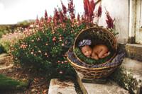 111419_Baton-Rouge-newborn-photography-Baton-Rouge-baby-photos-baton-rouge-maternity-photography_1910